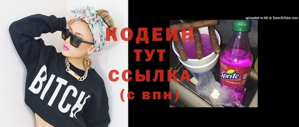 ГАЛЛЮЦИНОГЕННЫЕ ГРИБЫ Вяземский