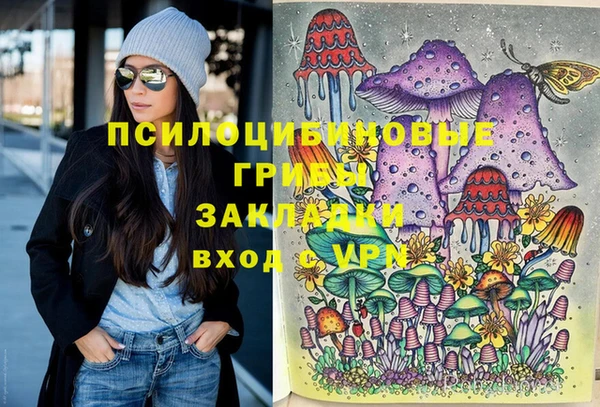 индика Остров